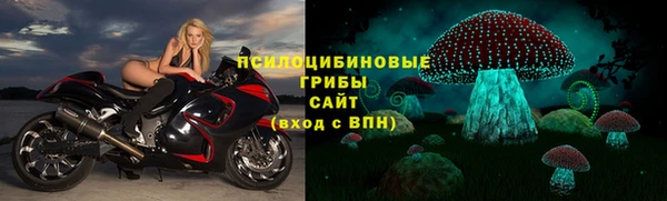 2c-b Покачи