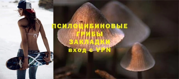 твердый Покровск