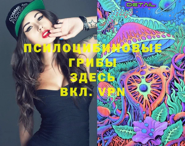 твердый Покровск