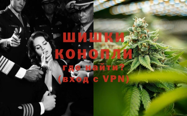 ГАЛЛЮЦИНОГЕННЫЕ ГРИБЫ Покров