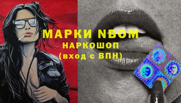 крисы Пересвет