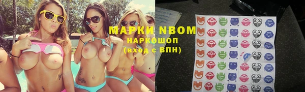 ГАЛЛЮЦИНОГЕННЫЕ ГРИБЫ Покров